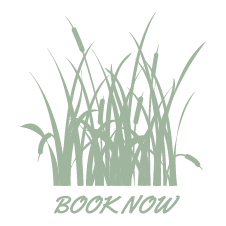 book now button